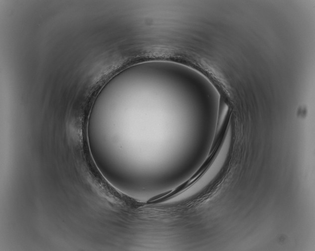 X0000093090681200709261229