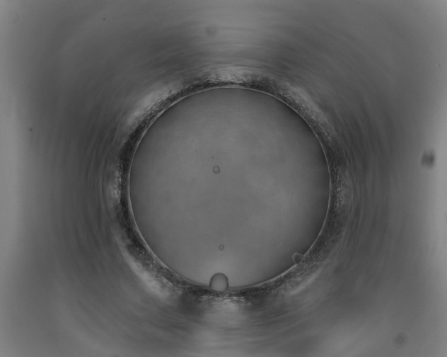 X0000093090683200709261229