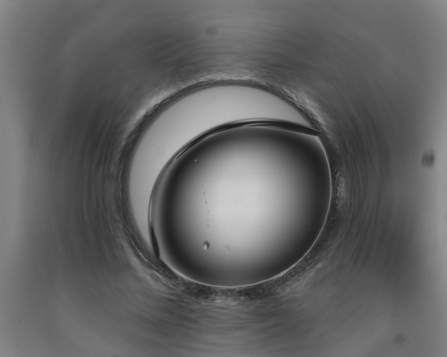 X0000093090684200709261229