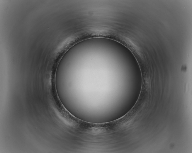 X0000093090686200709261229