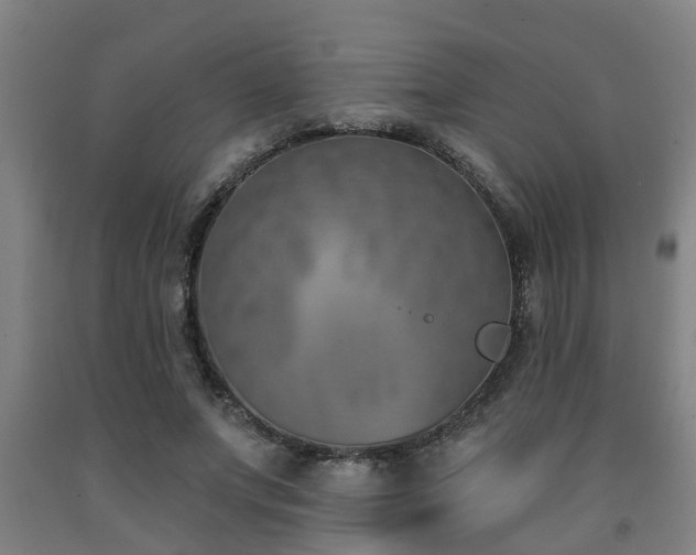 X0000093090687200709261229