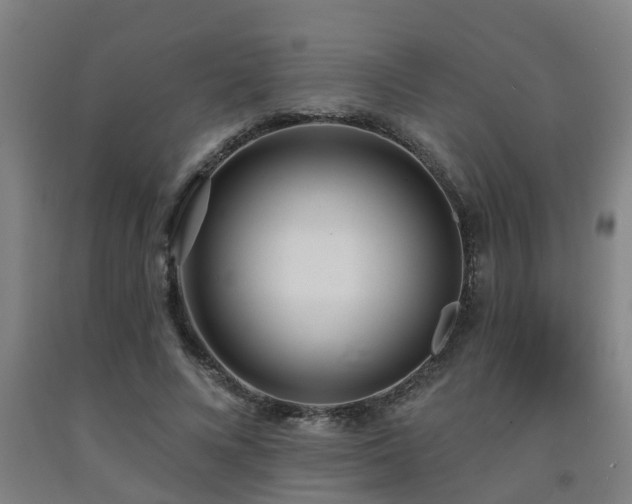 X0000093090688200709261229