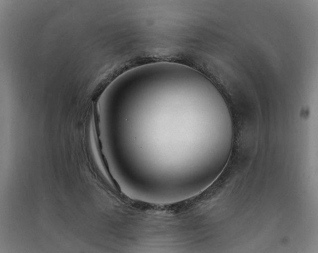 X0000093090689200709261229
