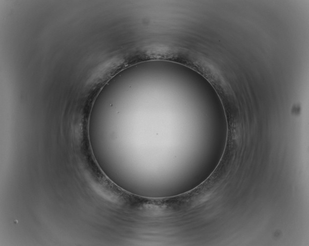 X0000093090690200709261229