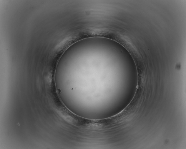 X0000093090691200709261229