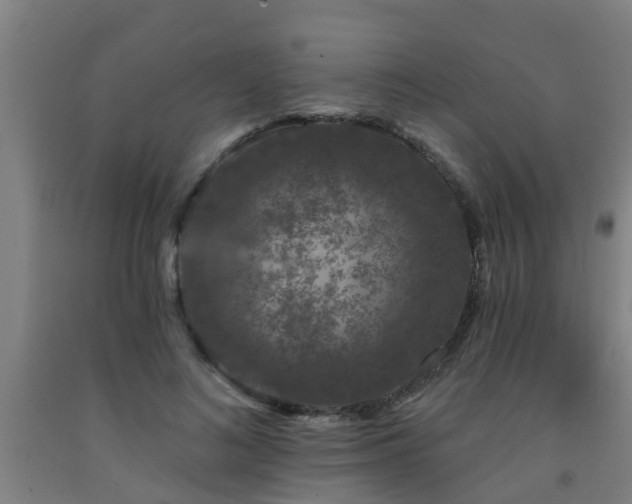 X0000093090692200709261229
