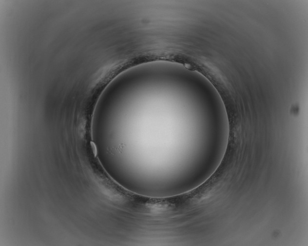 X0000093090693200709261229