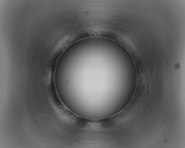 X0000093090694200709261229
