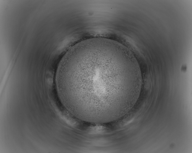 X0000093090695200709261229