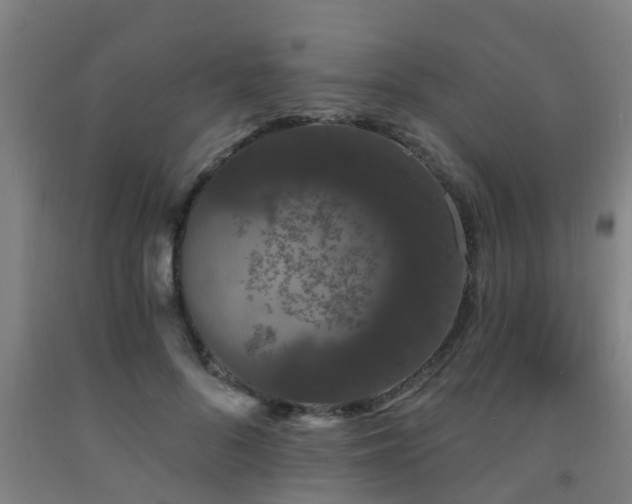 X0000093090696200709261229
