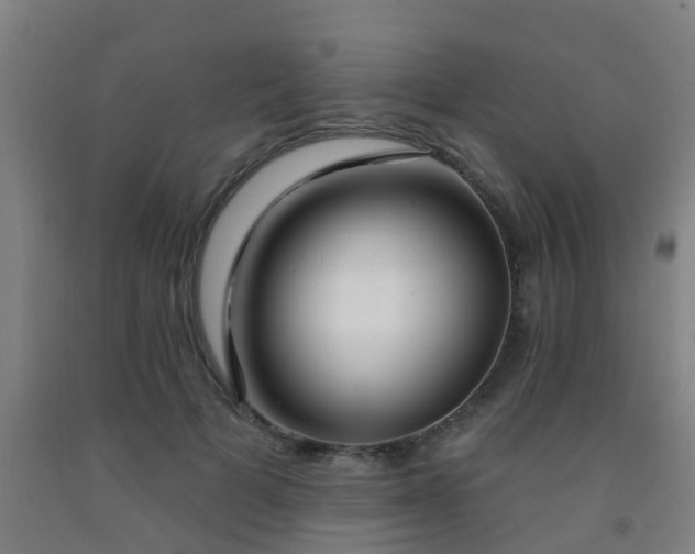 X0000093090697200709261229