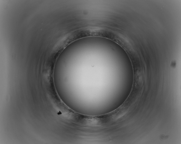 X0000093090698200709261229