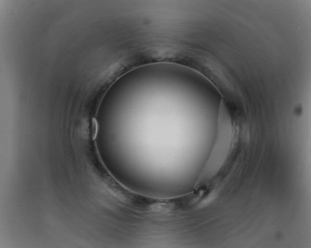 X0000093090700200709261229