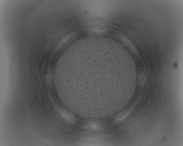 X0000093090701200709261229