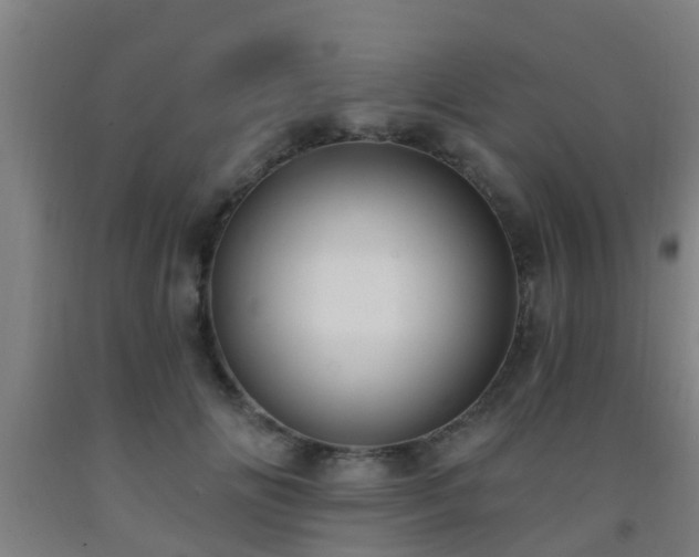 X0000093090702200709261229