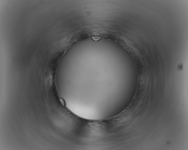X0000093090703200709261229