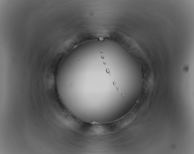 X0000093090704200709261229