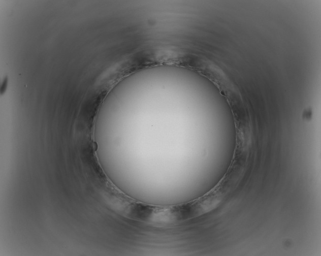 X0000093090705200709261229