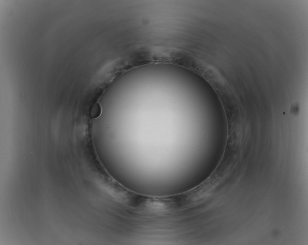 X0000093090706200709261229