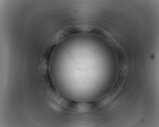 X0000093090707200709261229