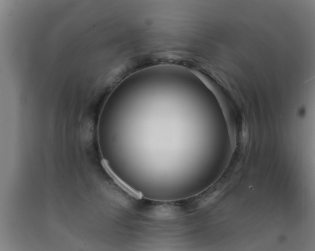 X0000093090708200709261229