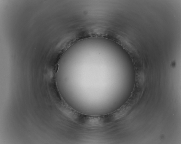 X0000093090709200709261229