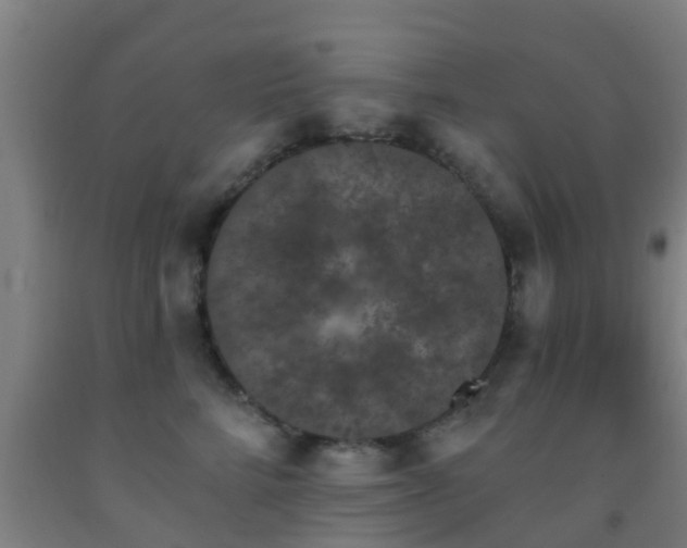 X0000093090712200709261229