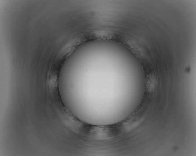 X0000093090713200709261229