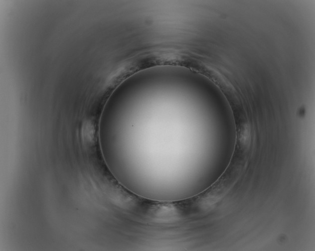 X0000093090715200709261229