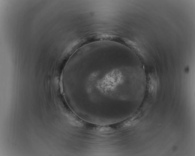 X0000093090716200709261229