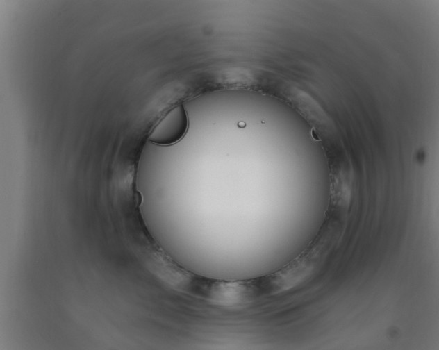 X0000093090717200709261229