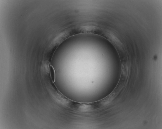 X0000093090718200709261229