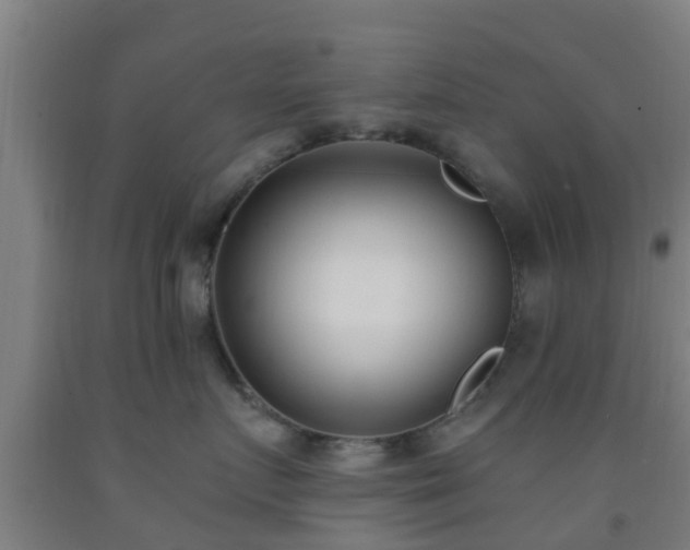 X0000093090719200709261229