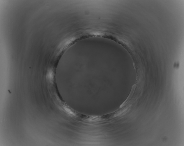 X0000093090720200709261229