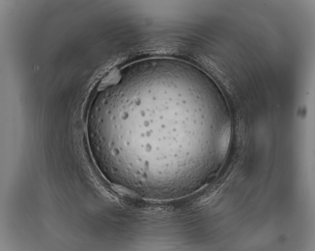 X0000093090721200709261228