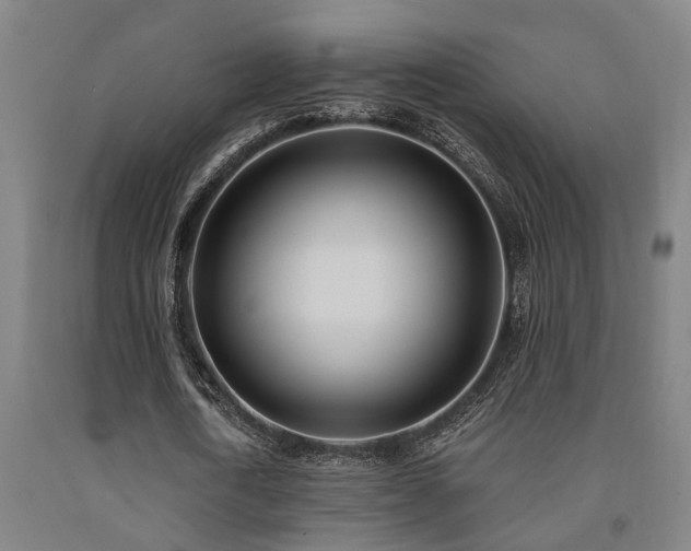X0000093090722200709261228