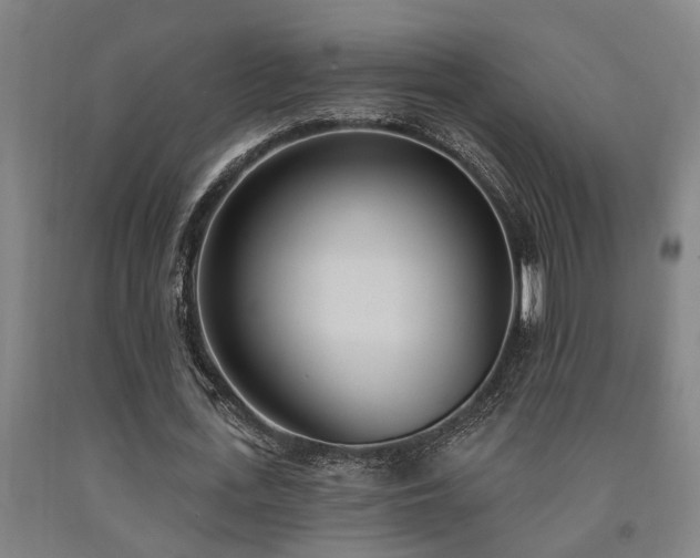 X0000093090723200709261228