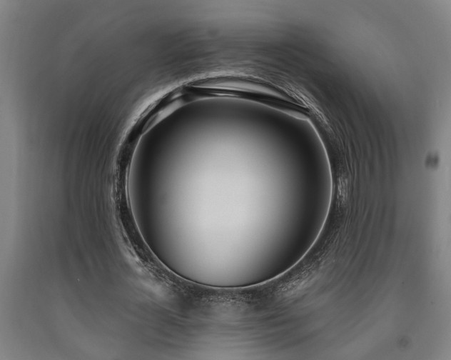 X0000093090724200709261228