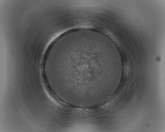 X0000093090726200709261228