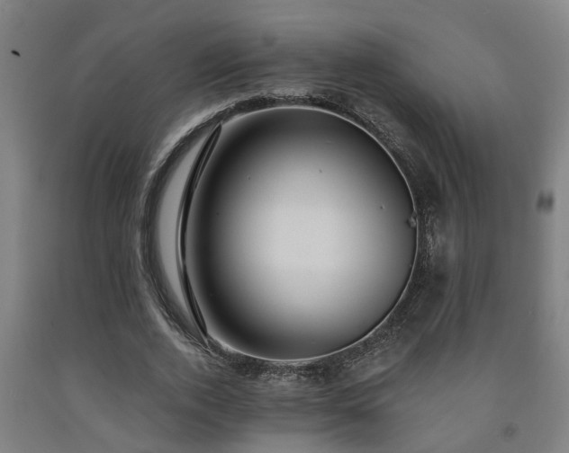 X0000093090728200709261228