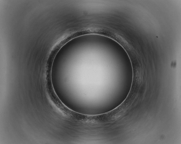 X0000093090730200709261228