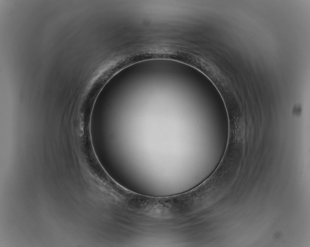 X0000093090731200709261228