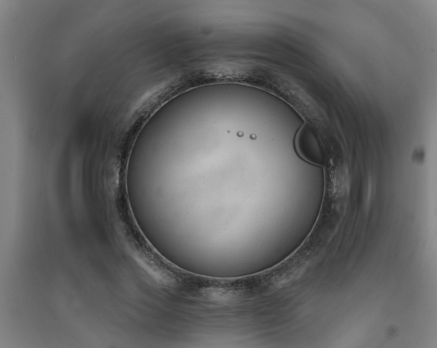 X0000093090733200709261228