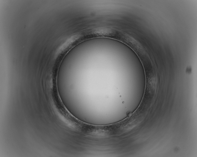 X0000093090734200709261228