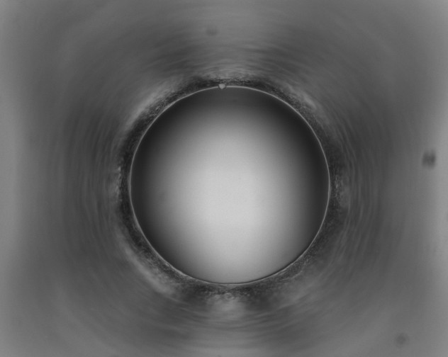 X0000093090735200709261228