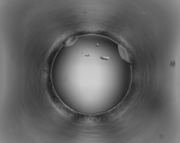 X0000093090736200709261228