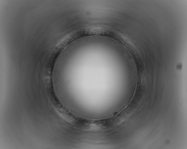X0000093090737200709261228