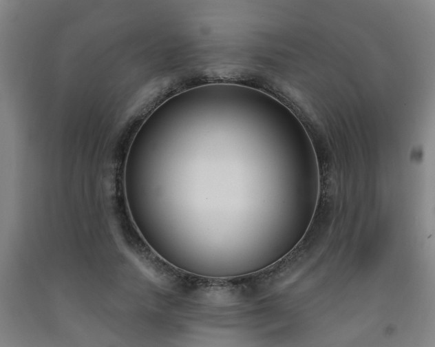 X0000093090738200709261228