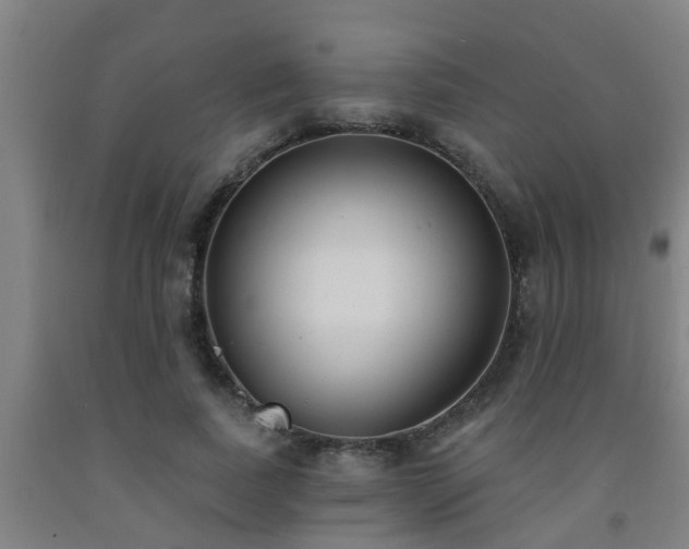 X0000093090739200709261228