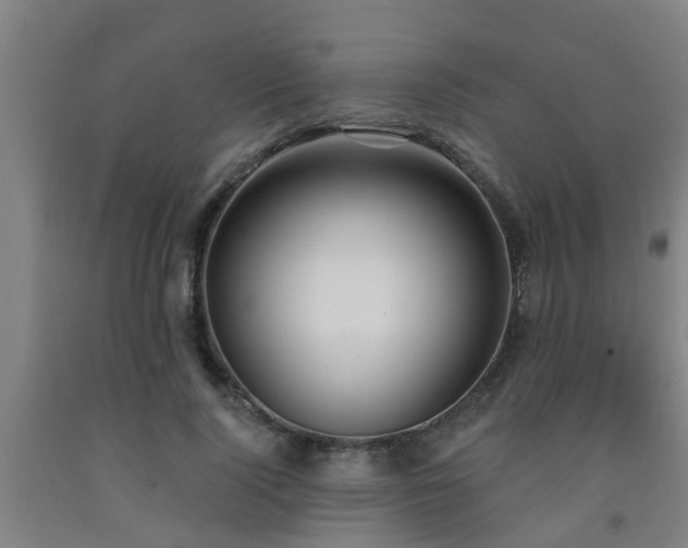 X0000093090740200709261228